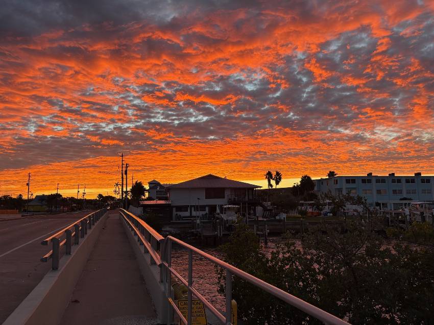 2920 Alternate 19 a Dunedin, FL Mobile or Manufactured Home for Sale